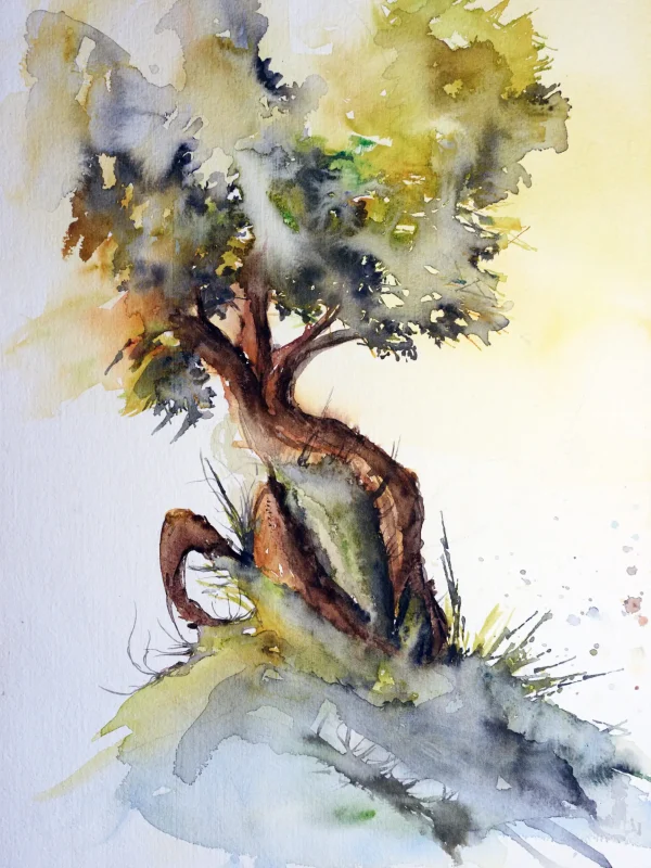 Studio Pintori - DSC3314_00009